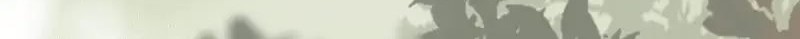The Ghostly Doctor Chapter 479 Gambar 44