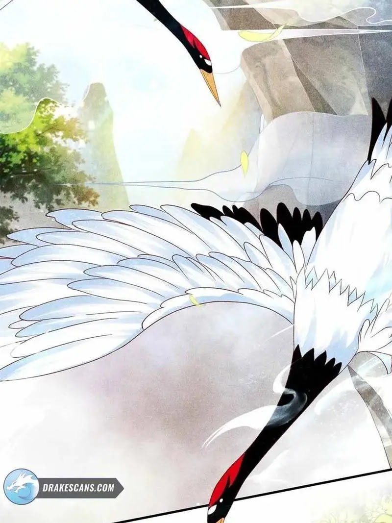 Sign in the Mystery Box to Dominate the World of Cultivation Chapter 01 Gambar 5