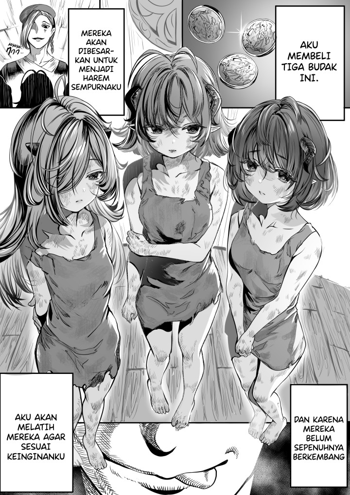 Baca Komik Dorei wo Choukyoushite Harem Tsukuru Chapter 01 Gambar 1
