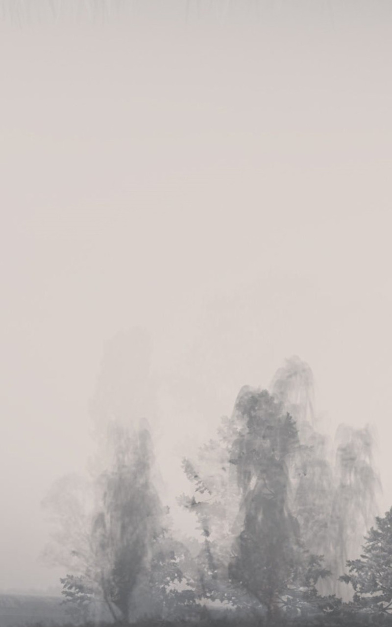 The Wanderers Chapter 29 Gambar 8