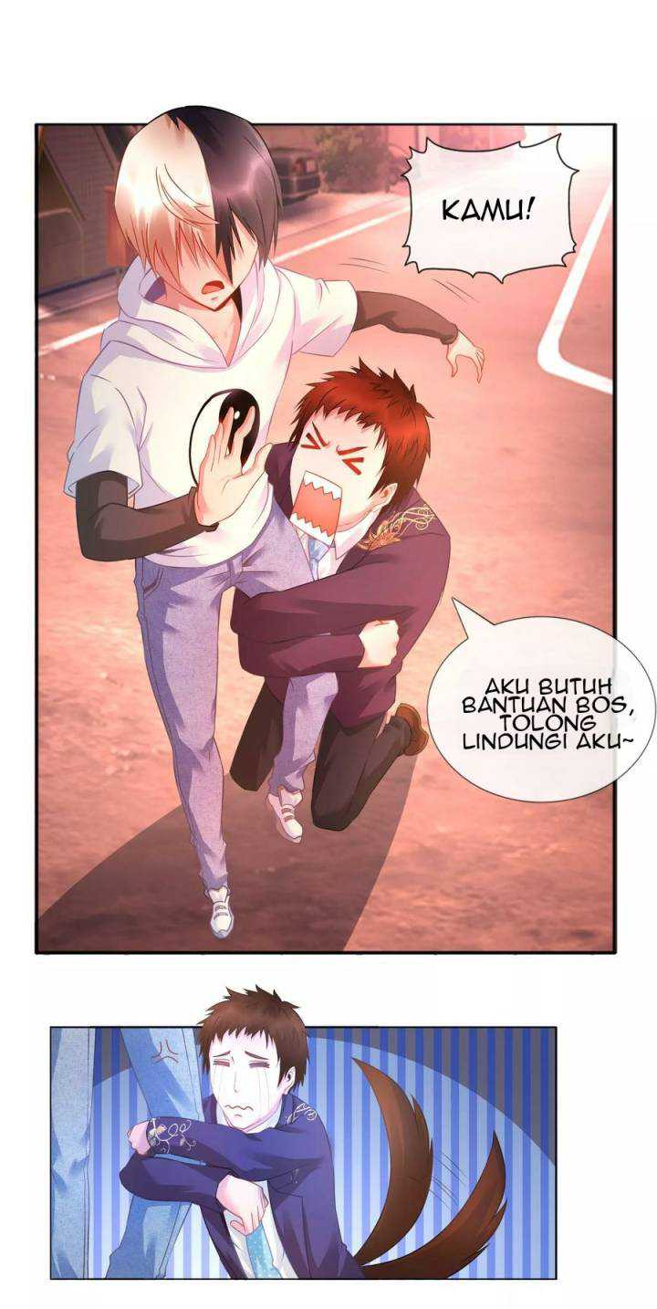 Feng Shui Master Chapter 19 Gambar 4
