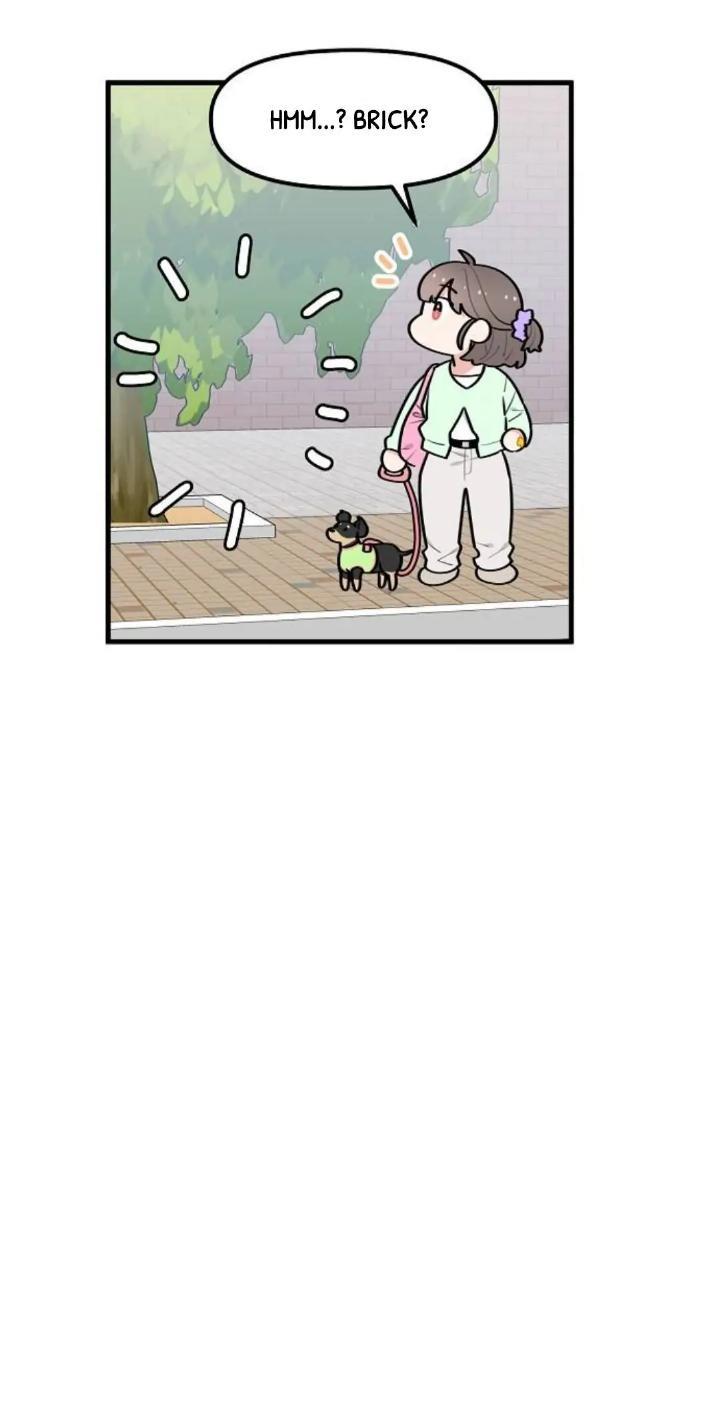 Protect Me, Knight Chapter 36 Gambar 34