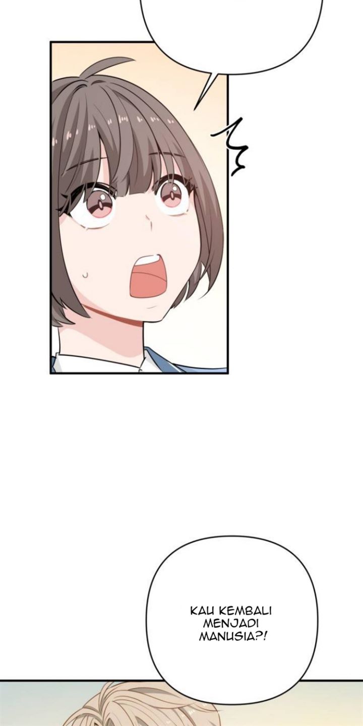 Protect Me, Knight Chapter 14 Gambar 48