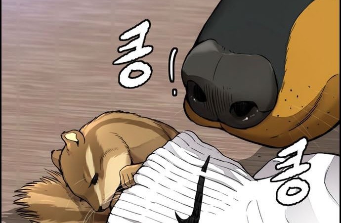 Wind Breaker Chapter 411 Gambar 86