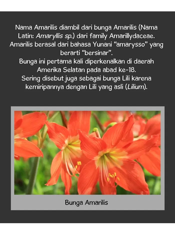 7 Wonders Chapter 13 Gambar 43