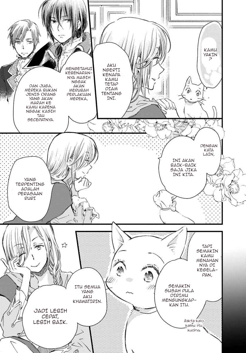 A Vengeful White Cat Lounges Around on the Dragon King’s Lap Chapter 16 Gambar 8
