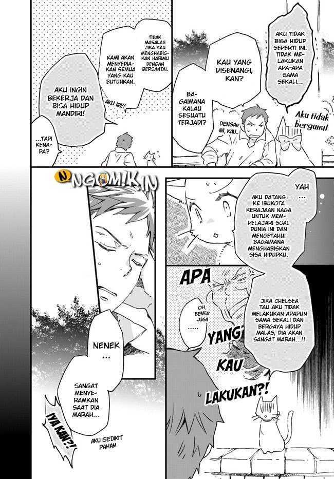 A Vengeful White Cat Lounges Around on the Dragon King’s Lap Chapter 10 Gambar 21