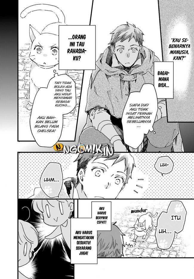 A Vengeful White Cat Lounges Around on the Dragon King’s Lap Chapter 10 Gambar 3