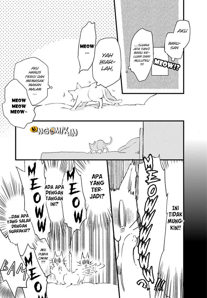 A Vengeful White Cat Lounges Around on the Dragon King’s Lap Chapter 05 Gambar 19