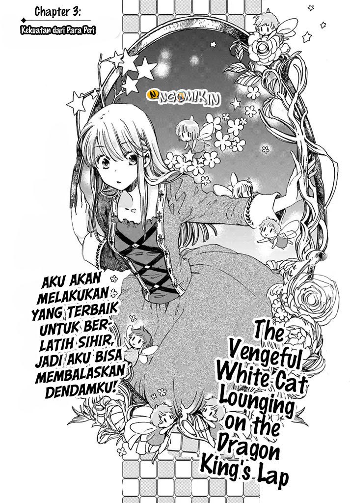A Vengeful White Cat Lounges Around on the Dragon King’s Lap Chapter 03 Gambar 7