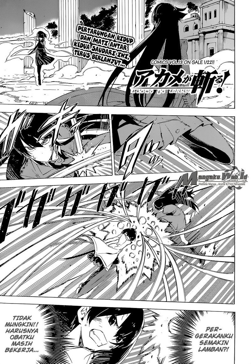 Akame ga Kill! Chapter 66 Gambar 6
