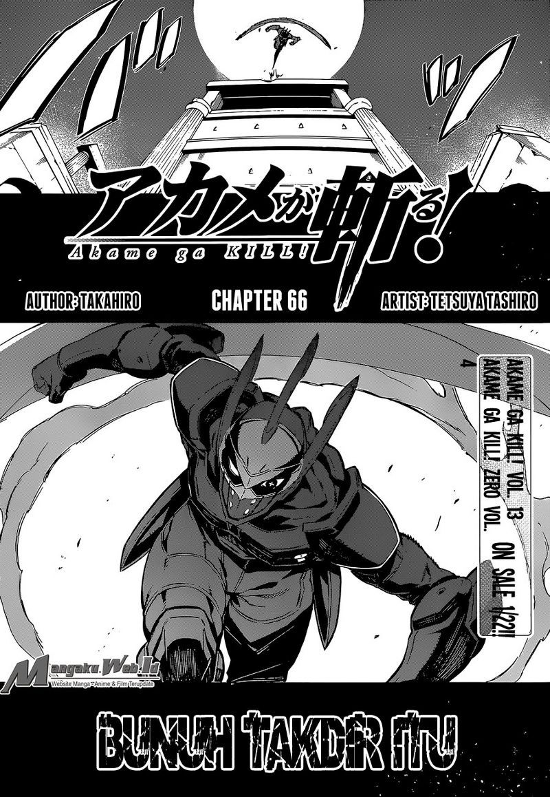 Akame ga Kill! Chapter 66 Gambar 9