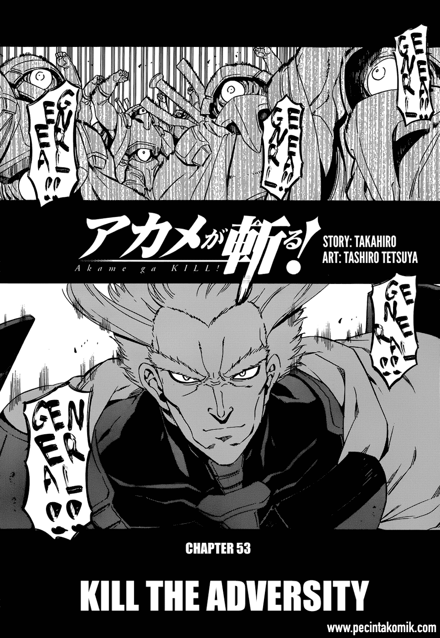 Akame ga Kill! Chapter 53.2 Gambar 5