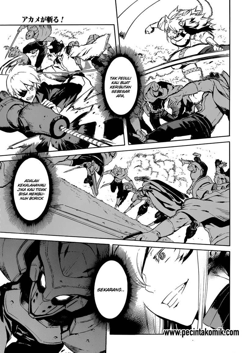 Akame ga Kill! Chapter 41 Gambar 32