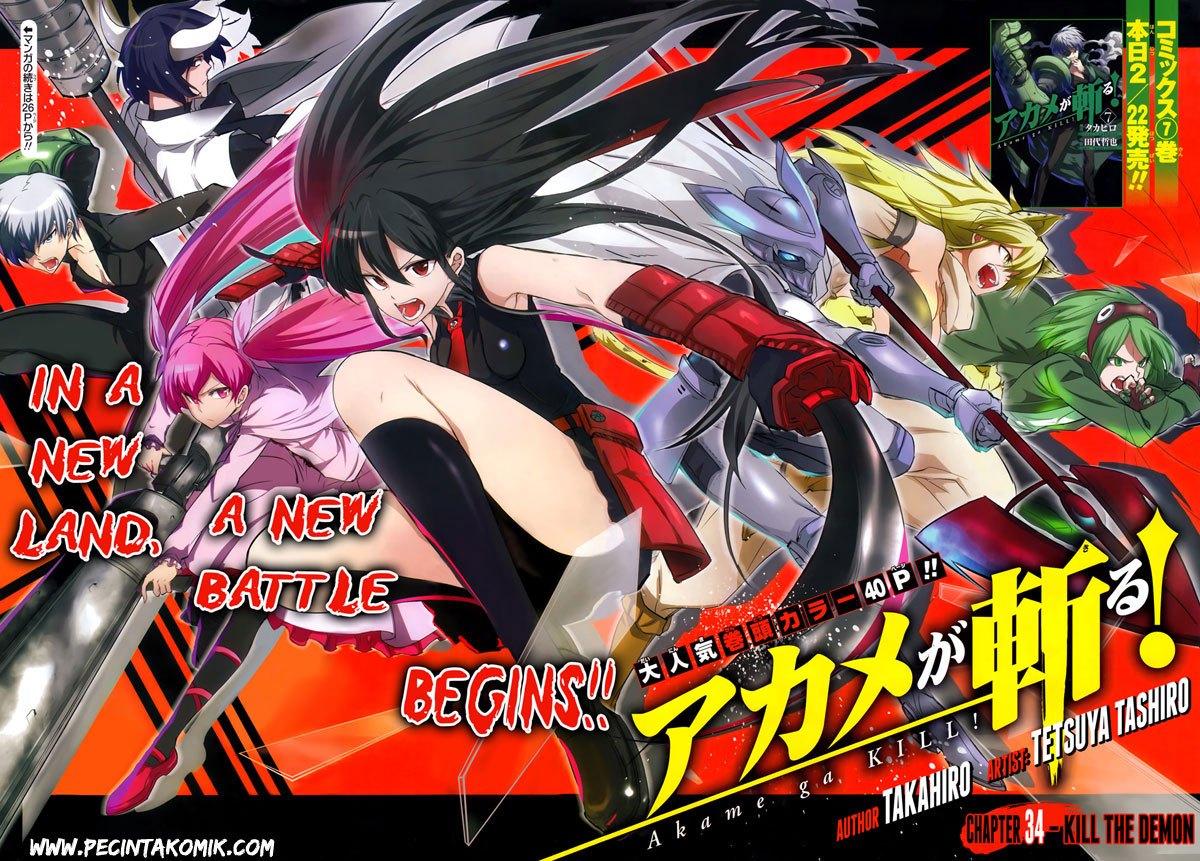 Akame ga Kill! Chapter 35 Gambar 5