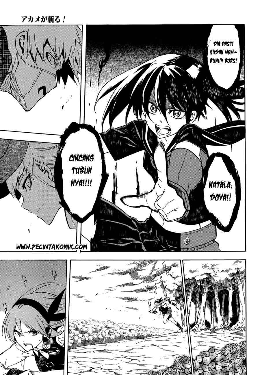 Akame ga Kill! Chapter 34 Gambar 35