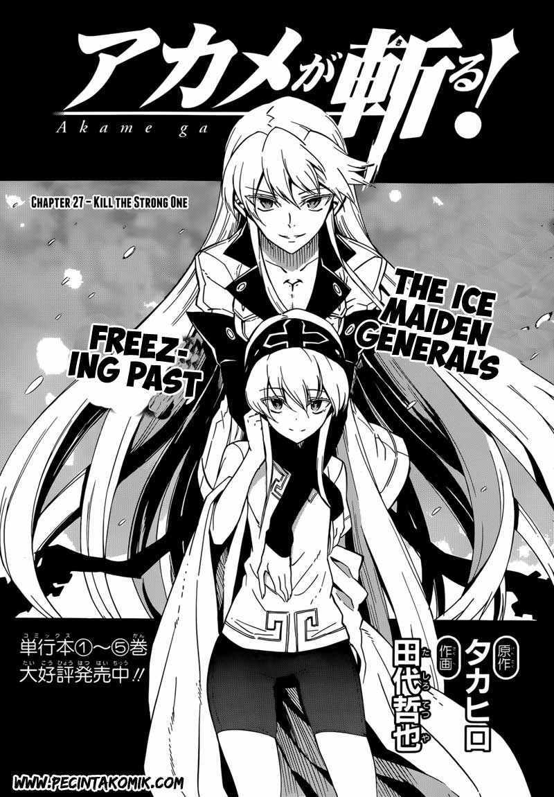 Akame ga Kill! Chapter 27 Gambar 4