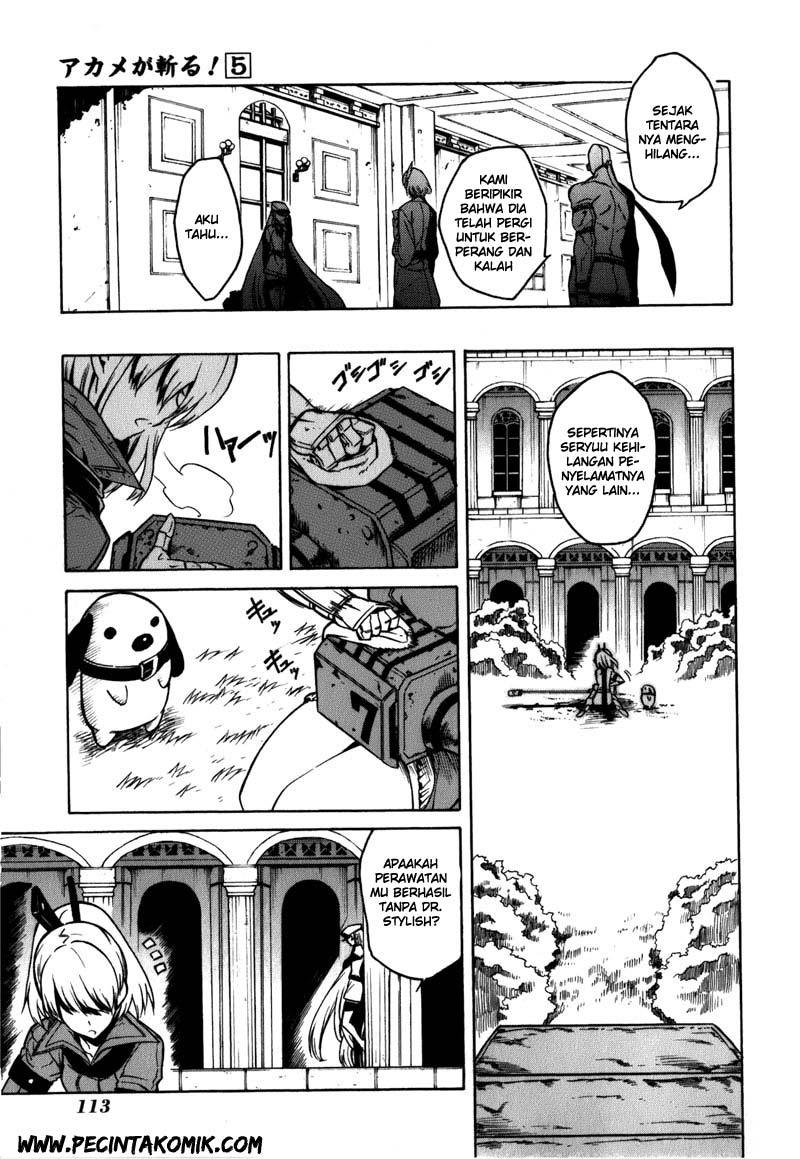 Akame ga Kill! Chapter 22 Gambar 14