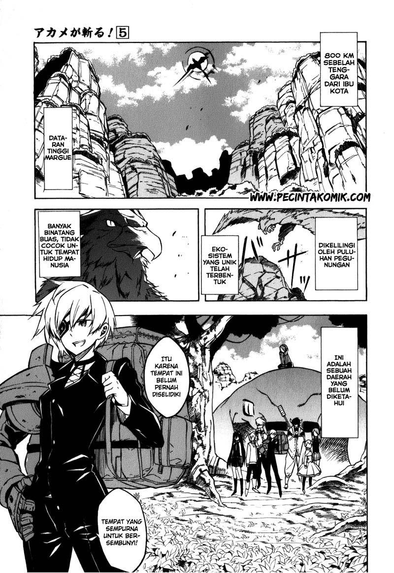 Akame ga Kill! Chapter 22 Gambar 4