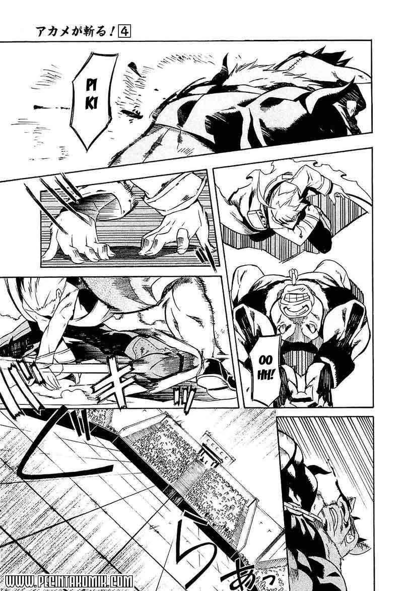 Akame ga Kill! Chapter 16 Gambar 35