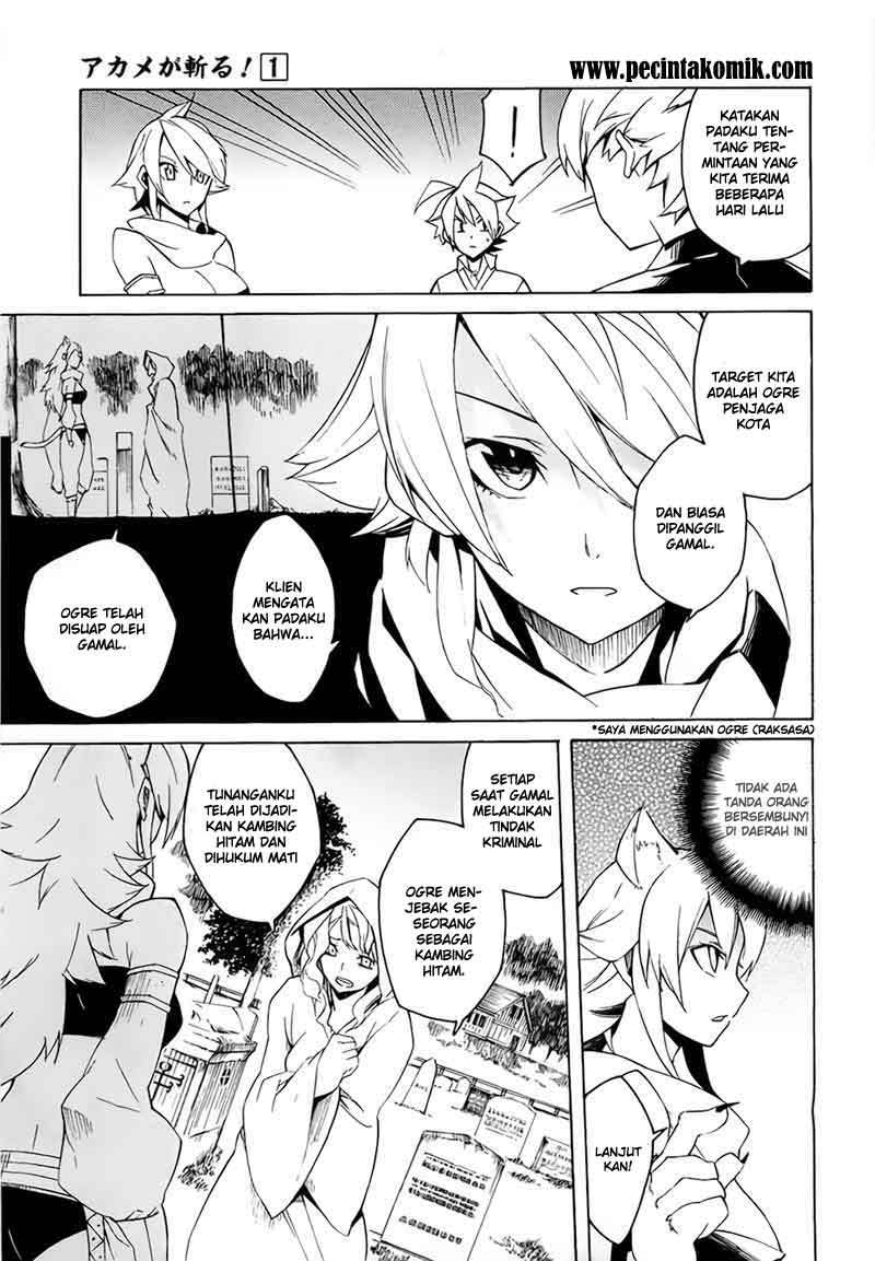 Akame ga Kill! Chapter 4 Gambar 12