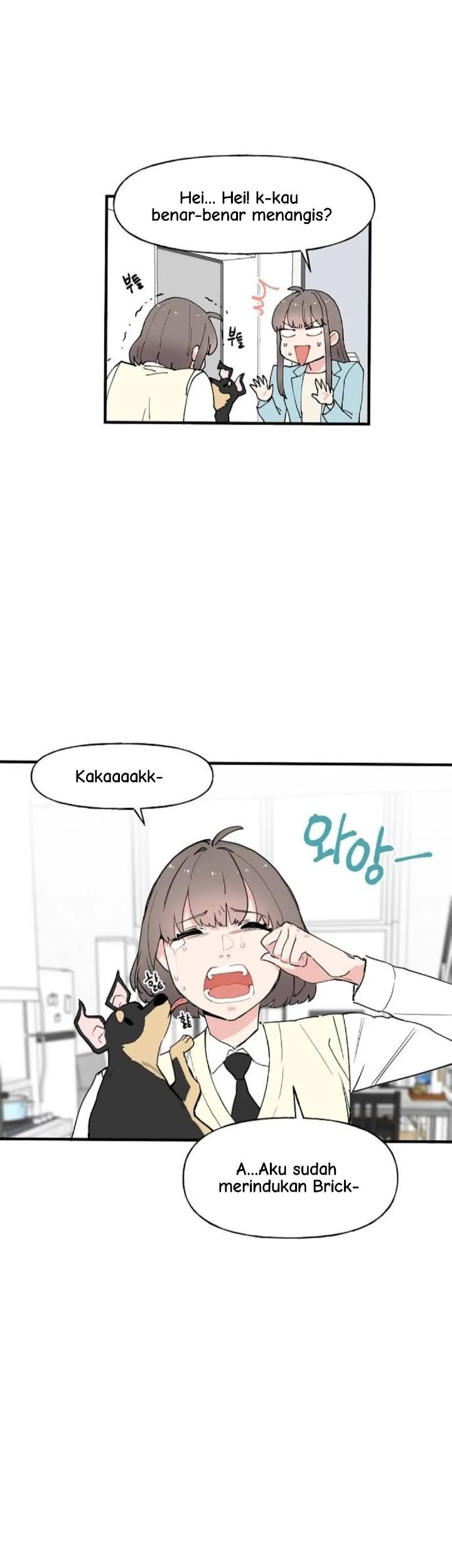 Protect Me, Knight Chapter 57 Gambar 16