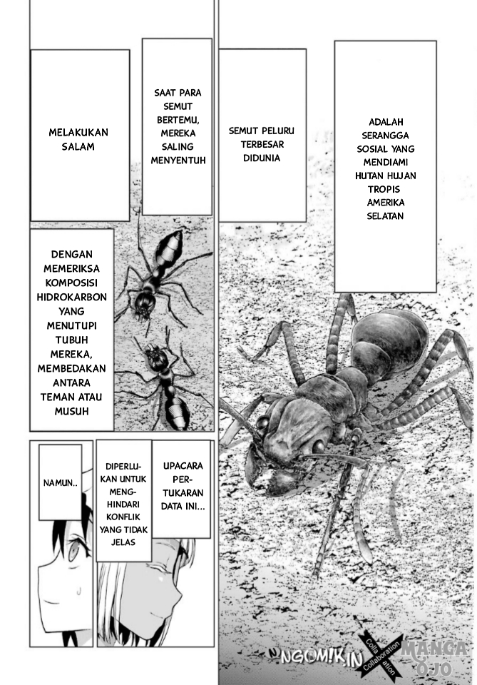 Blattodea Chapter 1 Gambar 42