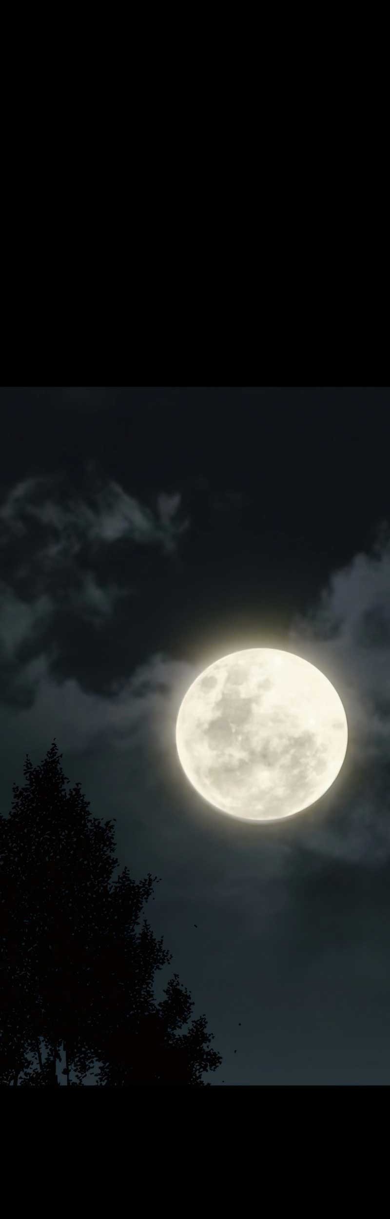 Alone Like the Wolf Chapter 07 Gambar 10