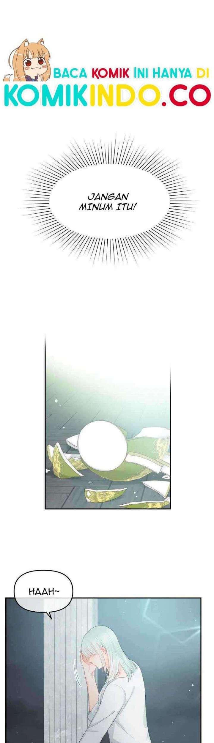 Baca Manhwa Don’t Concern Yourself With That Book Chapter 17 Gambar 2