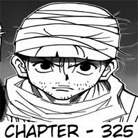 Hunter x Hunter Chapter 325 Gambar 19