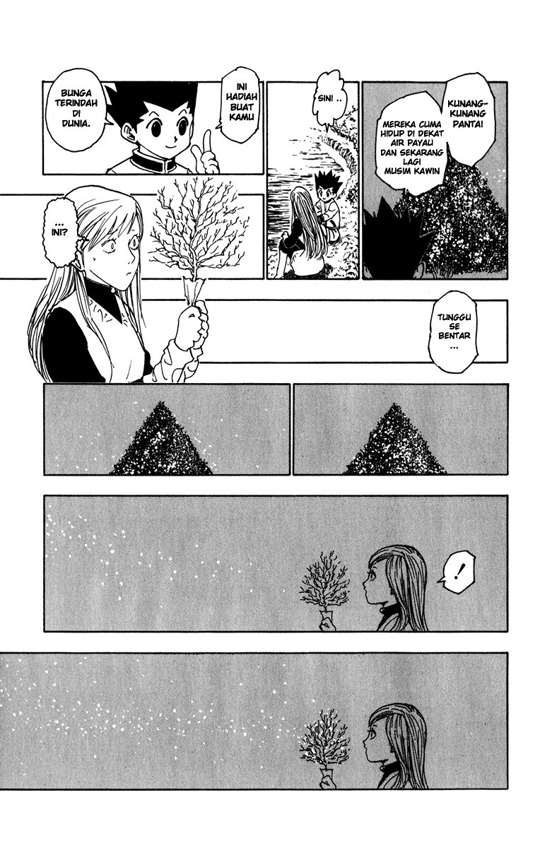 Hunter x Hunter Chapter 218 Gambar 13