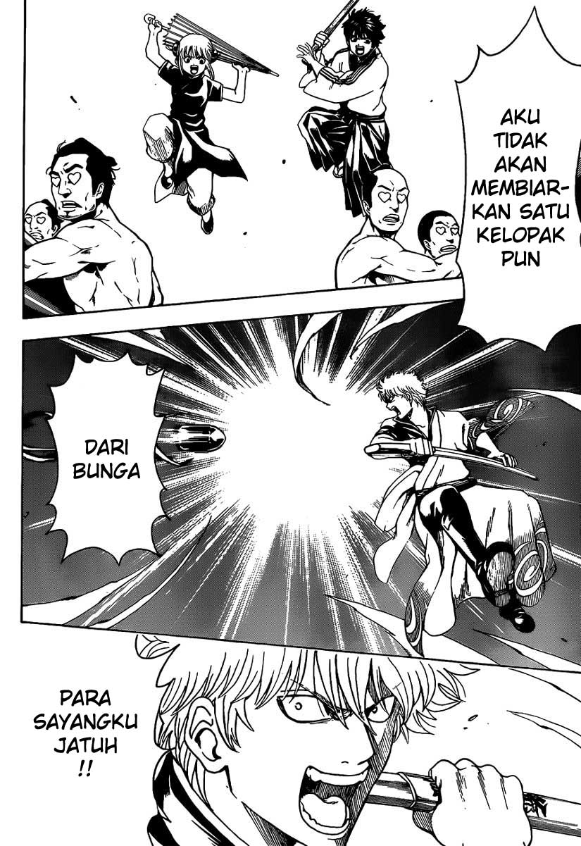 Baca Manga Gintama Chapter 496 Gambar 2