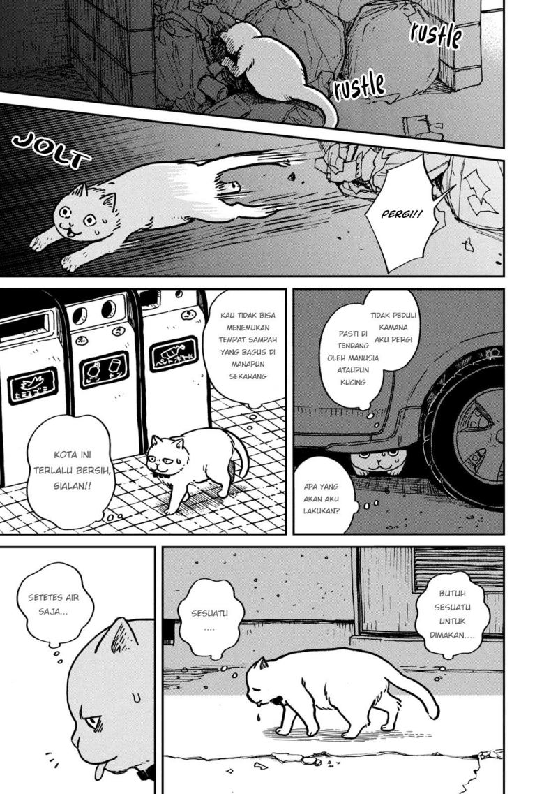 Tsureneko: Maruru to Hachi Chapter 01 Gambar 10