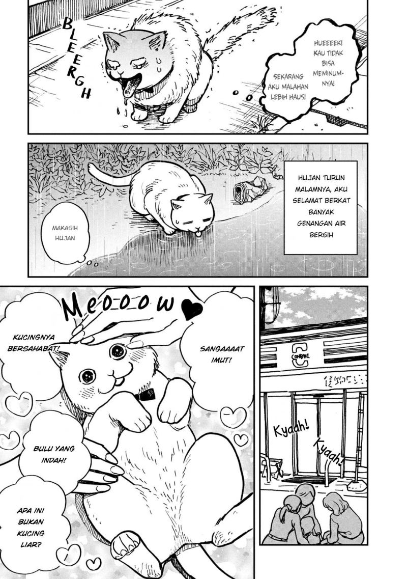 Tsureneko: Maruru to Hachi Chapter 01 Gambar 12