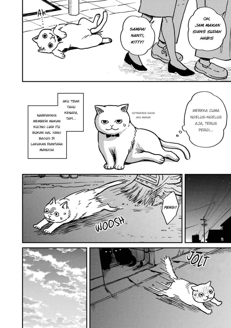 Tsureneko: Maruru to Hachi Chapter 01 Gambar 13