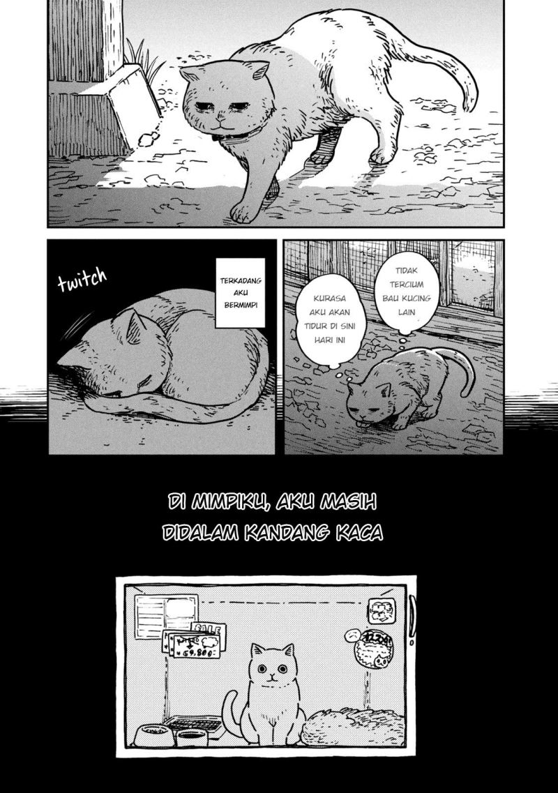 Tsureneko: Maruru to Hachi Chapter 01 Gambar 14