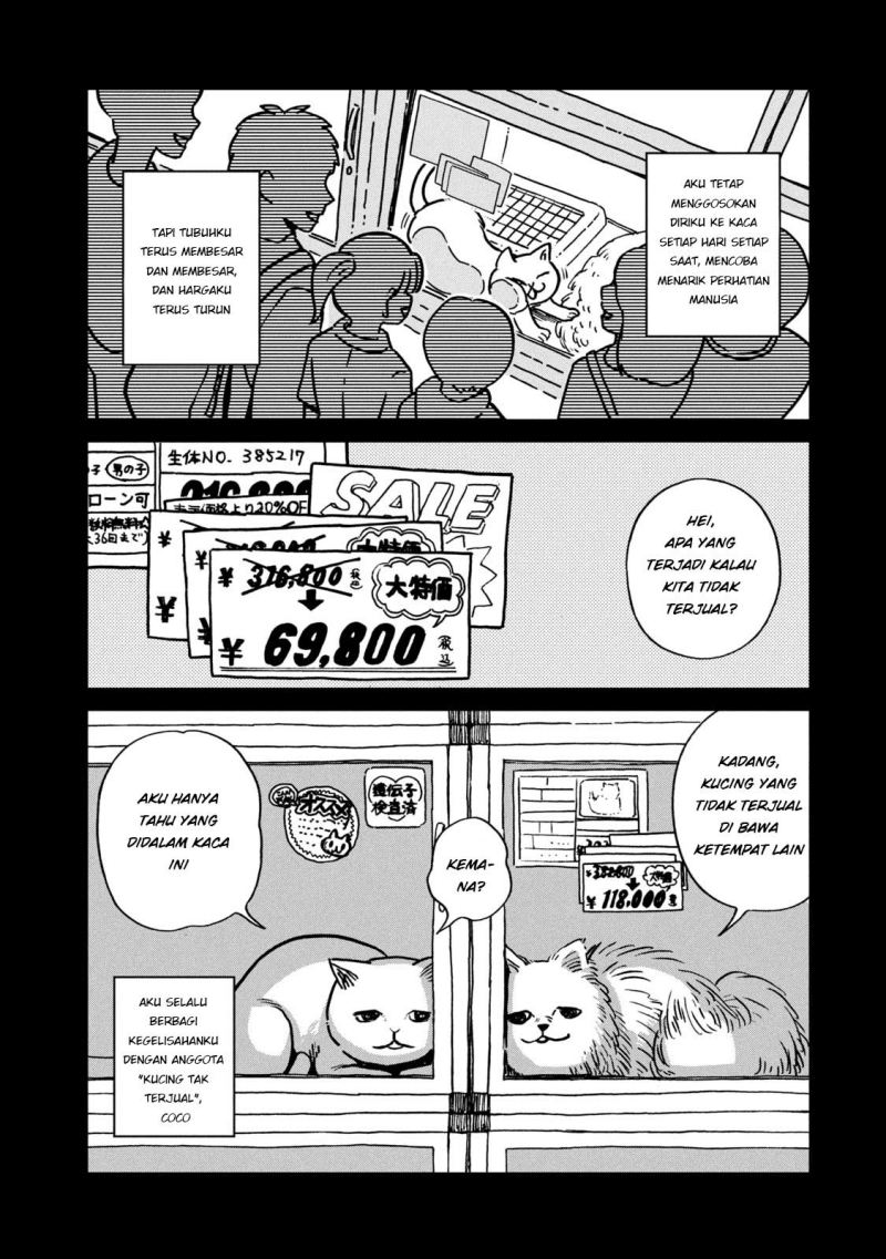 Tsureneko: Maruru to Hachi Chapter 01 Gambar 15