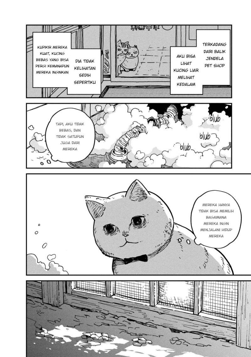 Tsureneko: Maruru to Hachi Chapter 01 Gambar 25