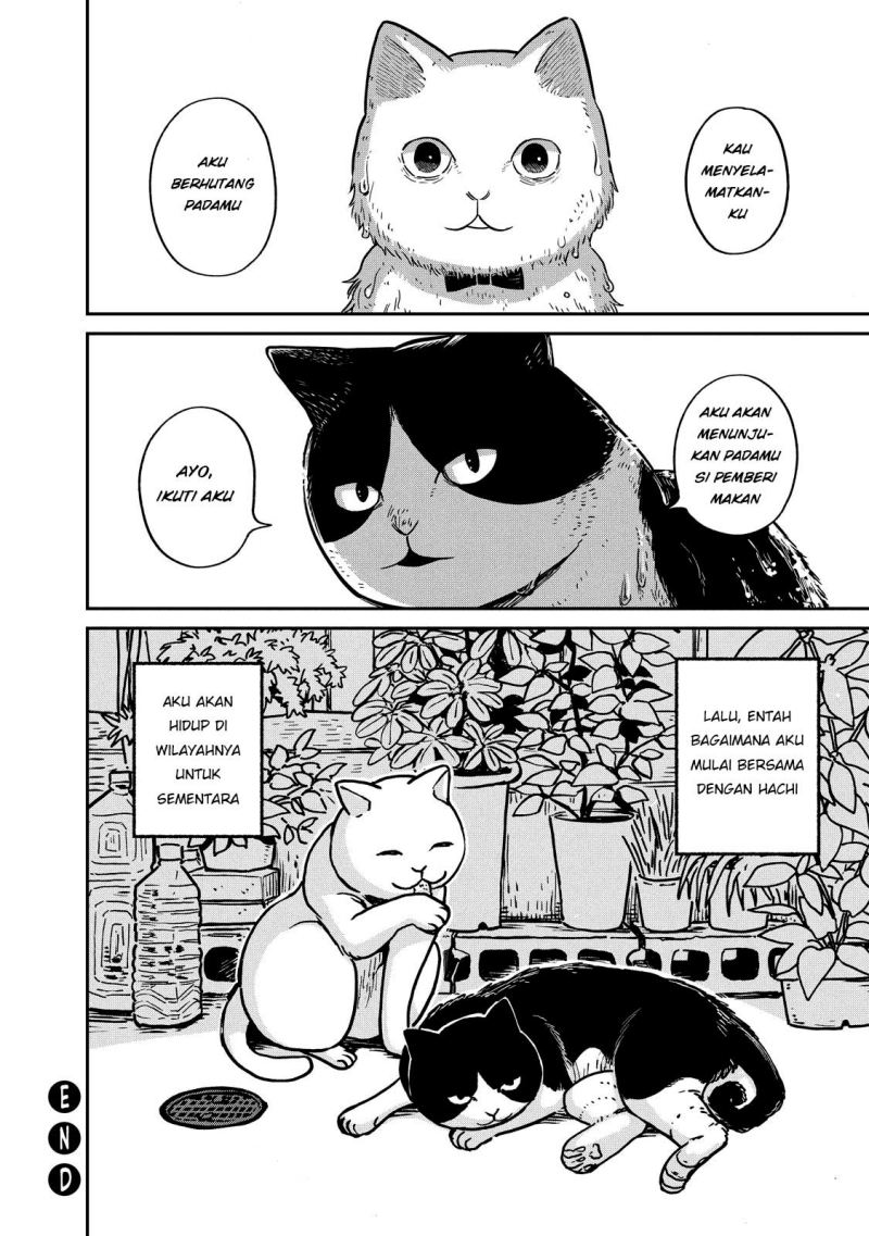 Tsureneko: Maruru to Hachi Chapter 01 Gambar 33