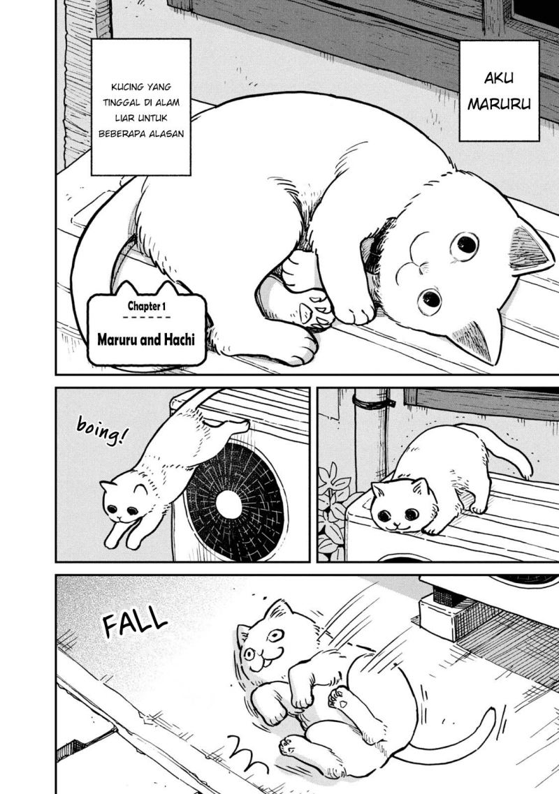 Tsureneko: Maruru to Hachi Chapter 01 Gambar 5