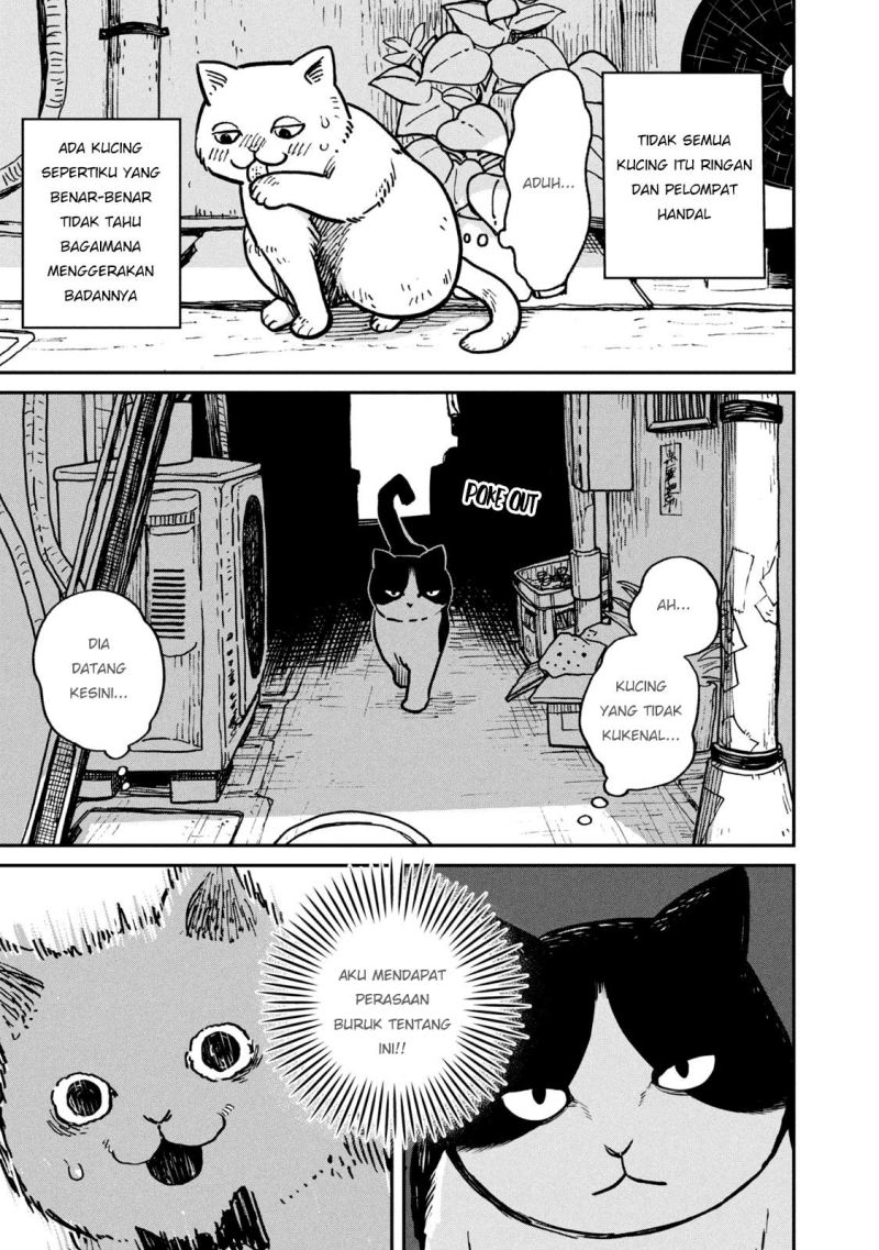 Tsureneko: Maruru to Hachi Chapter 01 Gambar 6