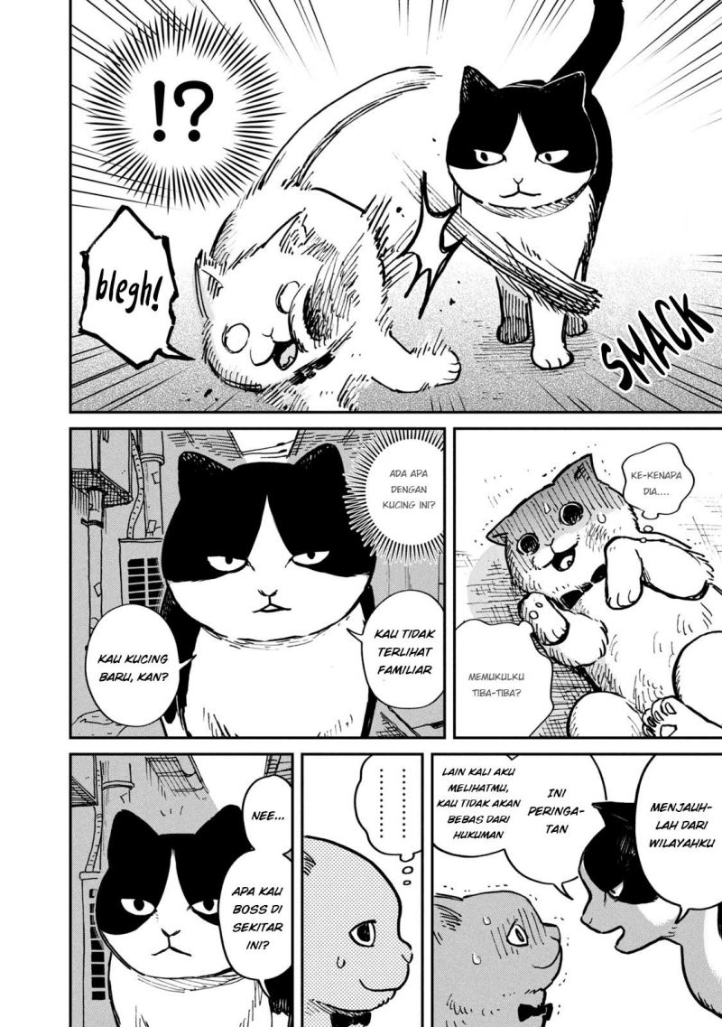 Tsureneko: Maruru to Hachi Chapter 01 Gambar 7