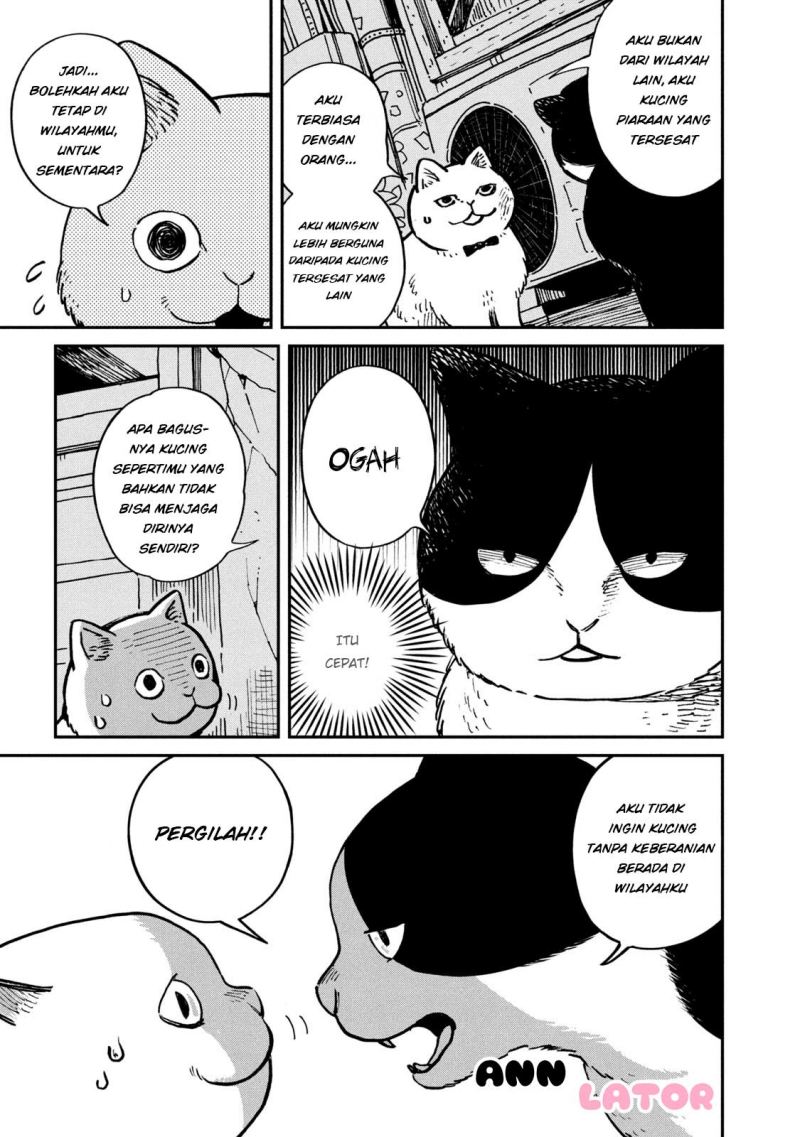 Tsureneko: Maruru to Hachi Chapter 01 Gambar 8