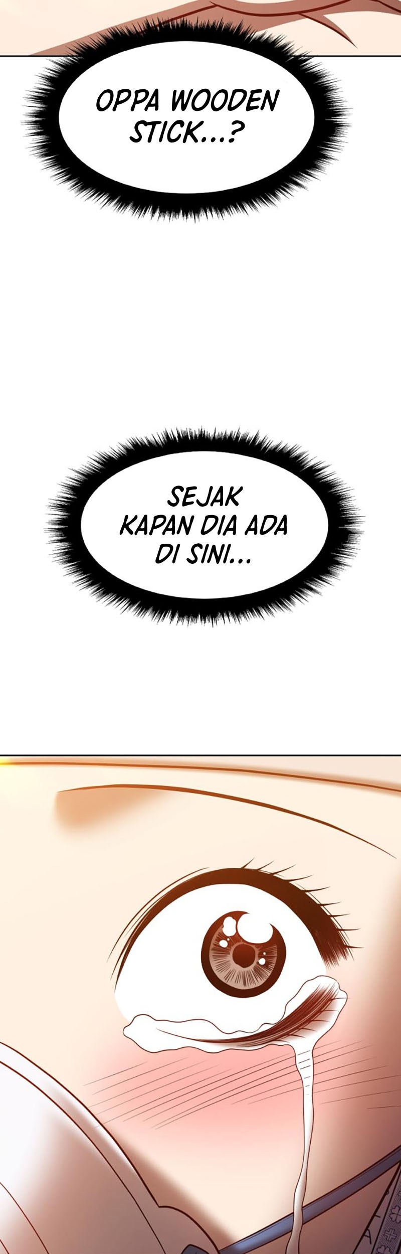 +99 Wooden Stick Chapter 35 Gambar 151