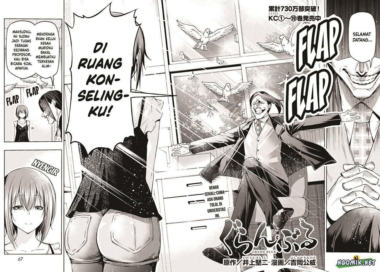 Grand Blue Chapter 79 Gambar 5