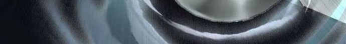 Dragons Chosen Chapter 00.1 Gambar 10
