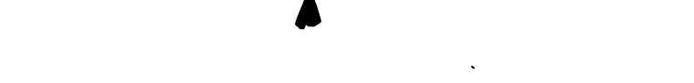 Fisher Man Chapter 05 Gambar 11