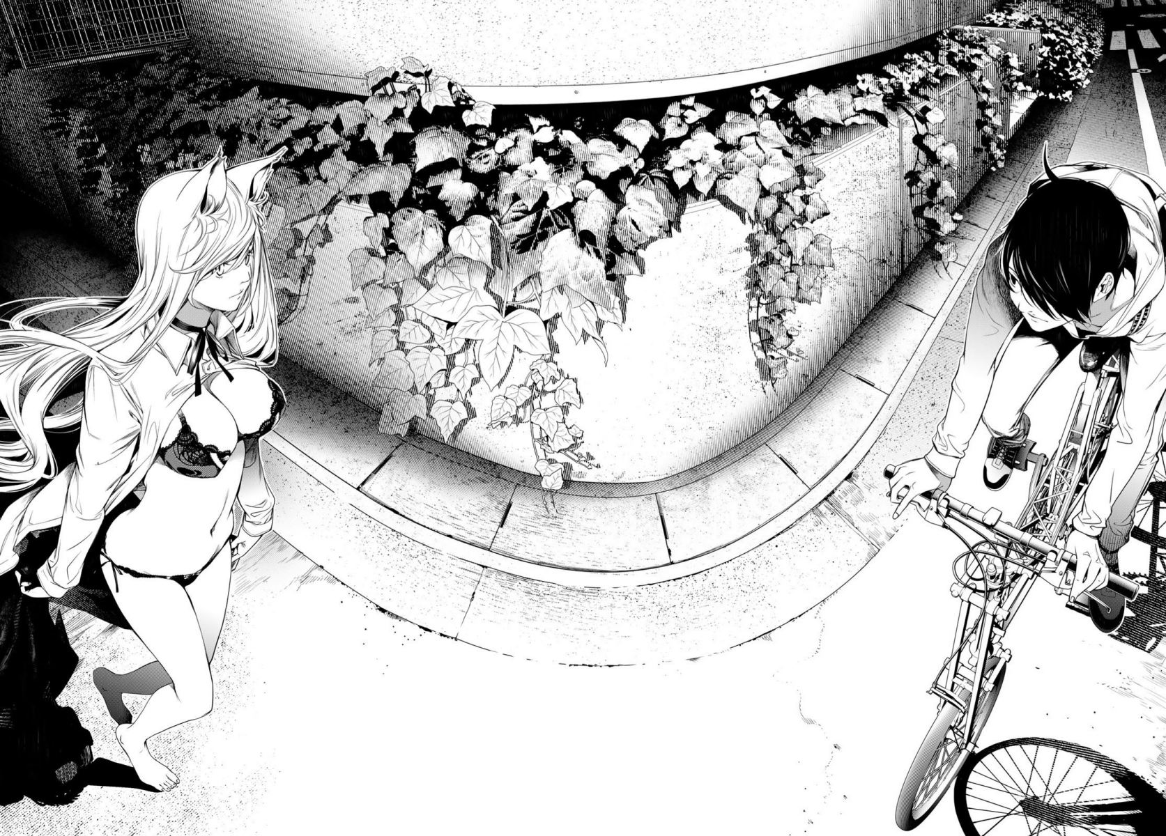 Bakemonogatari Chapter 136 Gambar 16