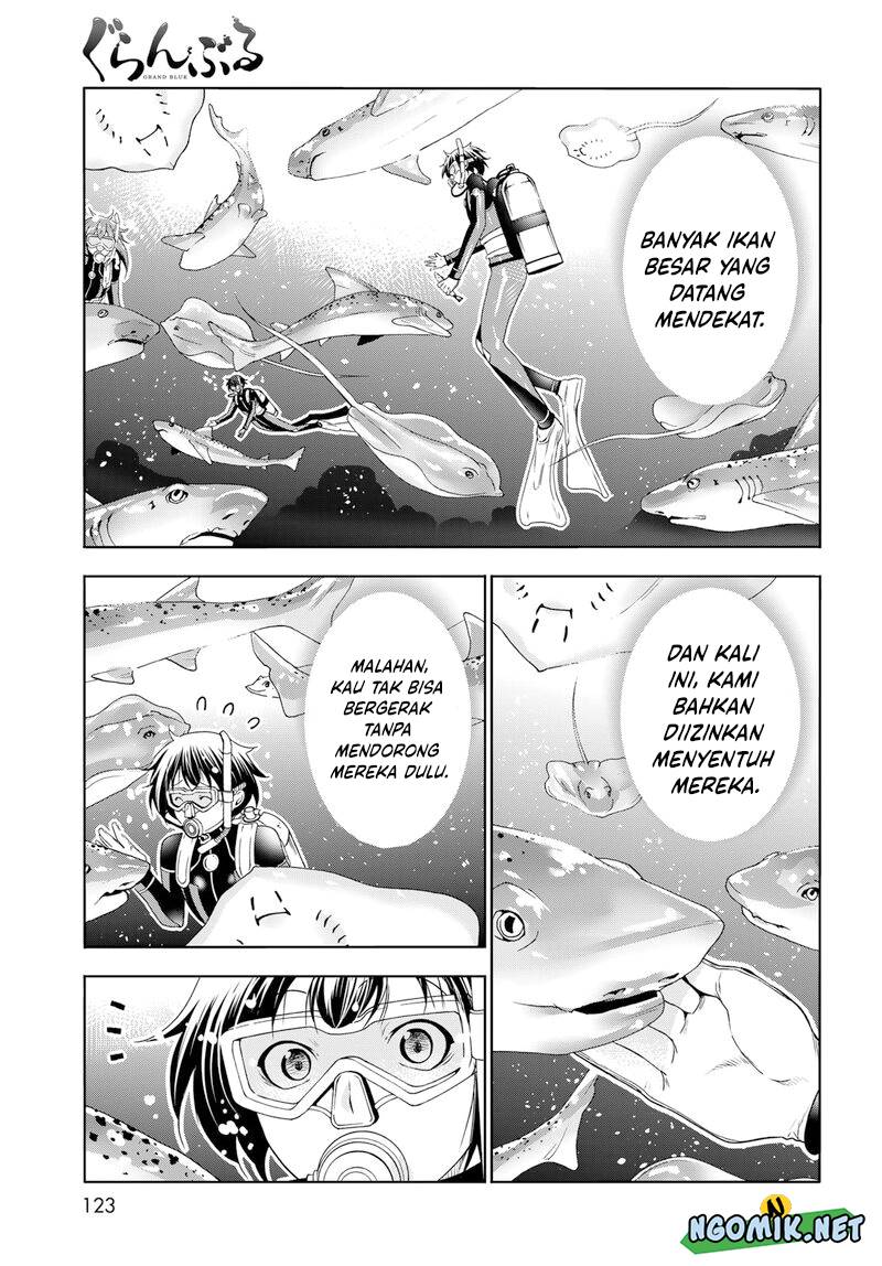 Grand Blue Chapter 81 Gambar 31