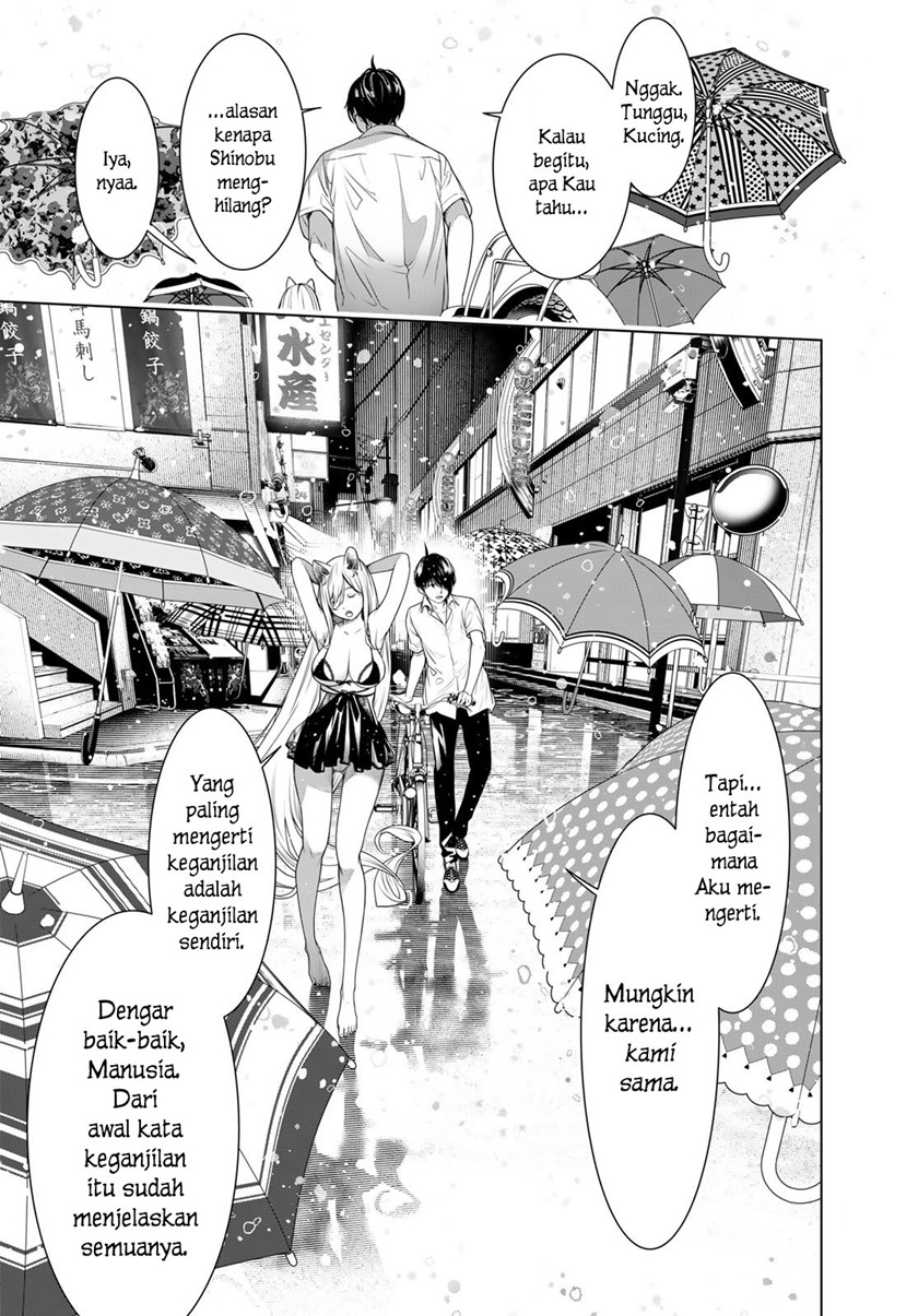 Bakemonogatari Chapter 155 Gambar 8